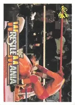 1990 Classic WWF The History of Wrestlemania #9 - Card #9