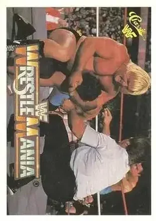 1990 Classic WWF The History of Wrestlemania #10 - Greg "The Hammer" Valentine