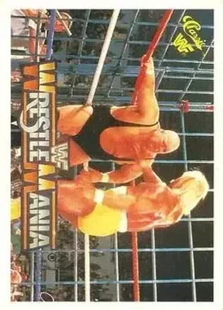 1990 Classic WWF The History of Wrestlemania #15 - Card #15