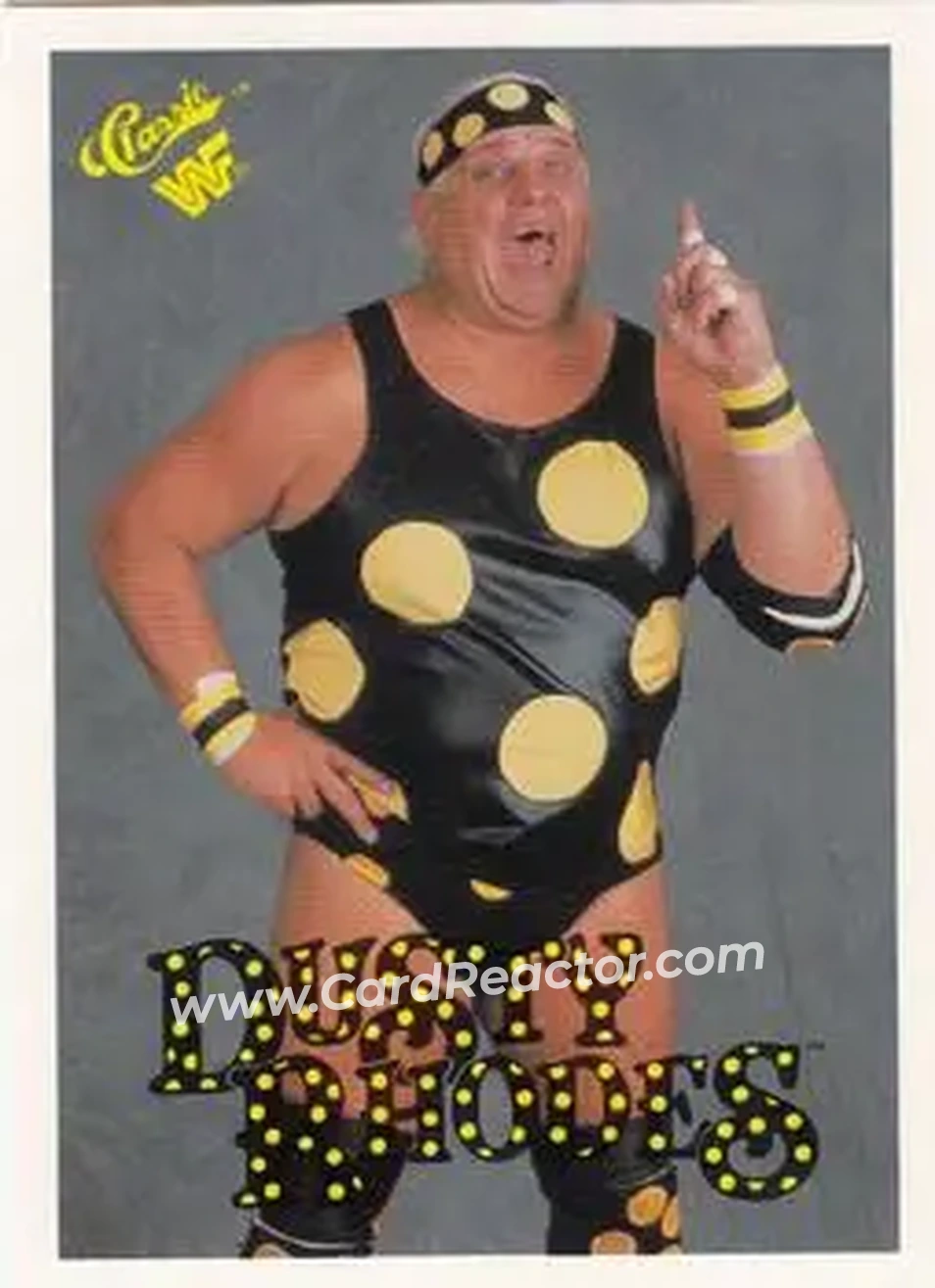 1990 Classic WWF #16 - Dusty Rhodes