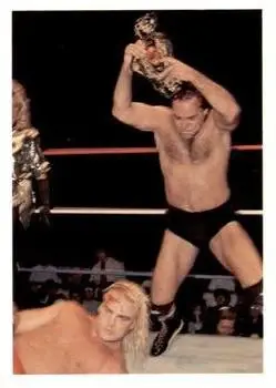 1988 Wonderama NWA #118 - Card #118 - Front