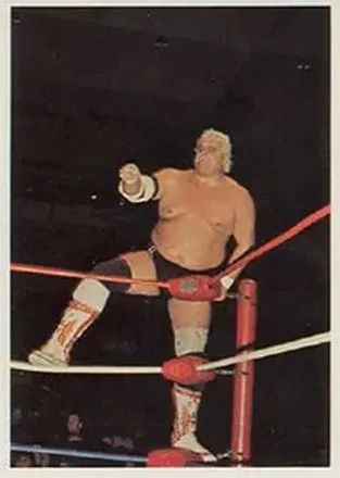 1988 Wonderama NWA #120 - Dusty Rhodes