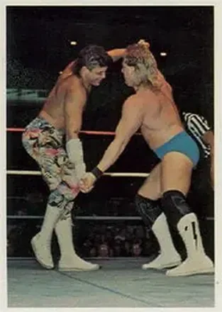 1988 Wonderama NWA #121 - Card #121