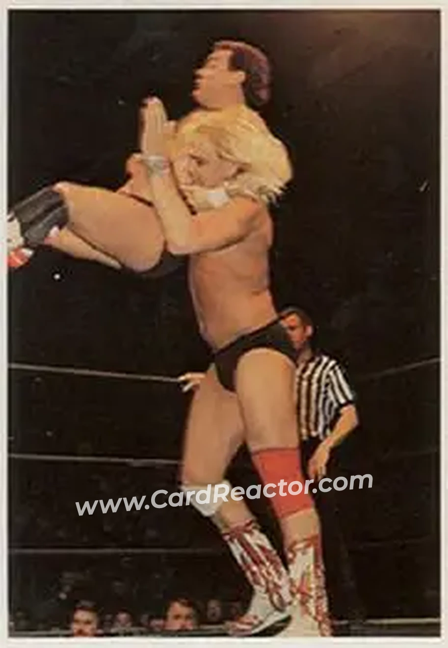 1988 Wonderama NWA #124 - The Widow Maker