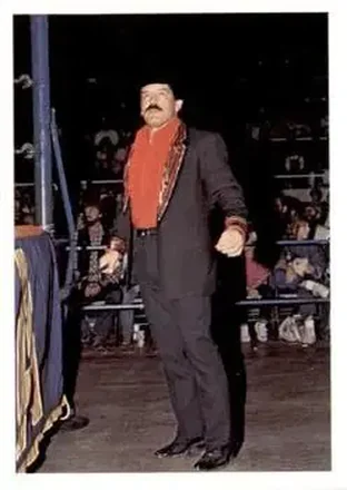 1988 Wonderama NWA #129 - Paul Jones
