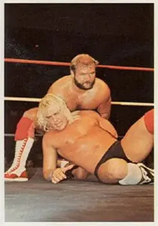 1988 Wonderama NWA #130 - Card #130 1988 Wonderama NWA #130 - Card #130