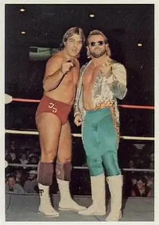 1988 Wonderama NWA #133 - Card #133 1988 Wonderama NWA #133 - Card #133