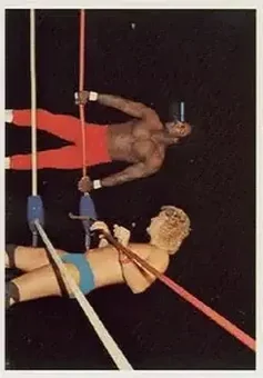 1988 Wonderama NWA #134 - Card #134