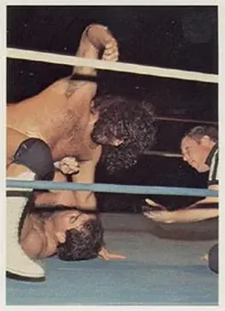 1988 Wonderama NWA #135 - Card #135