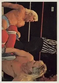 1988 Wonderama NWA #136a - Card #136a