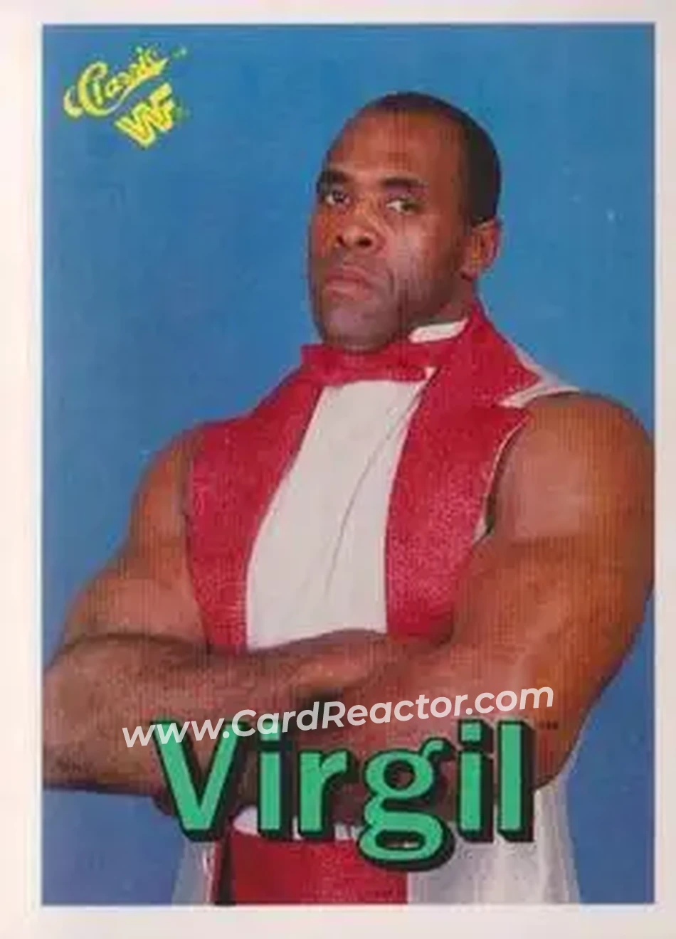 1990 Classic WWF #34 - Virgil