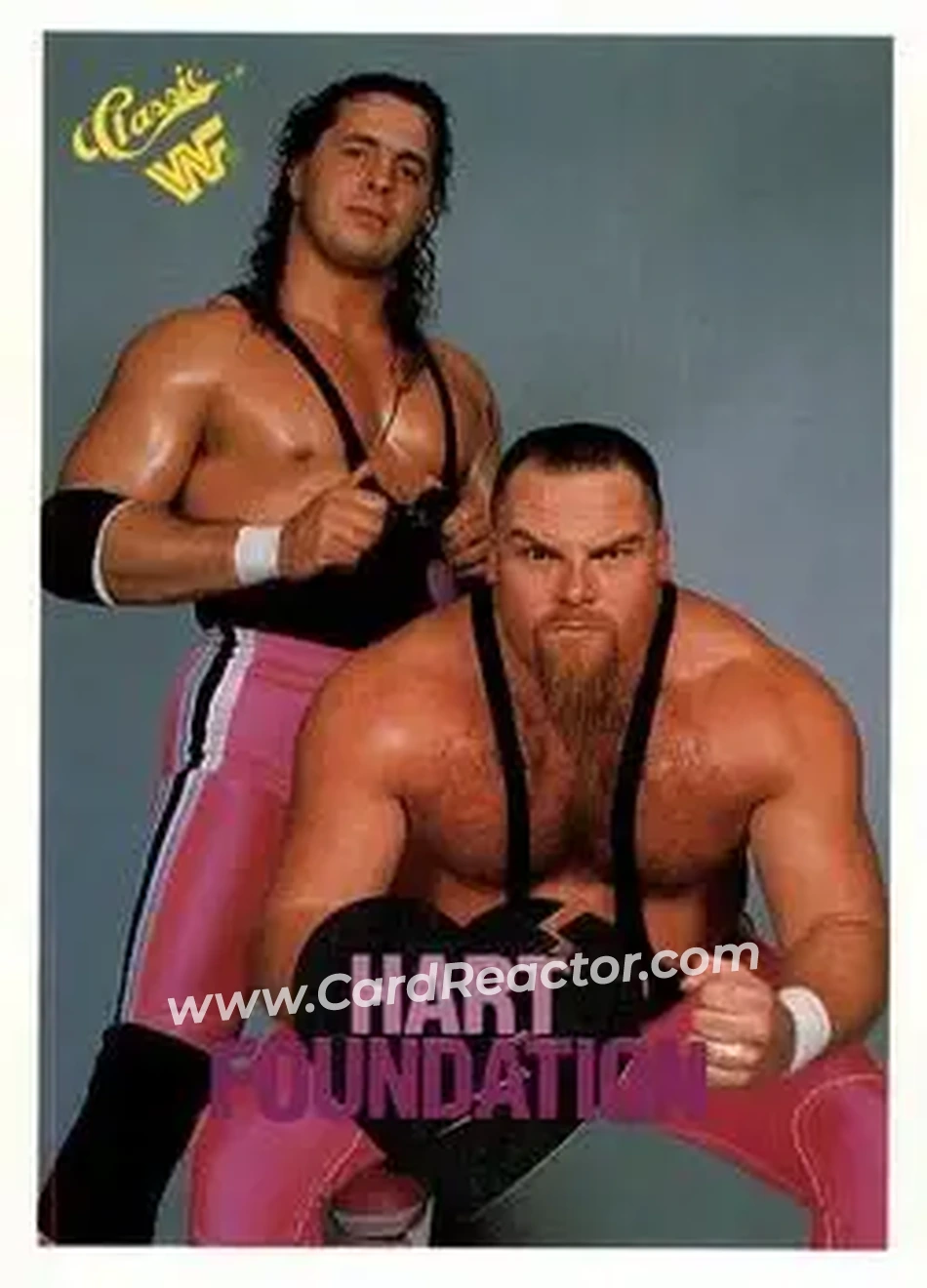 1990 Classic WWF #38 - Card #38 1990 Classic WWF #38 - Card #38