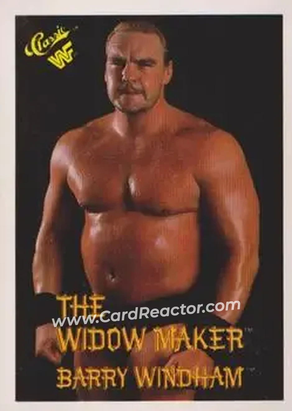 1990 Classic WWF #42 - The Widow Maker 1990 Classic WWF #42 - The Widow Maker