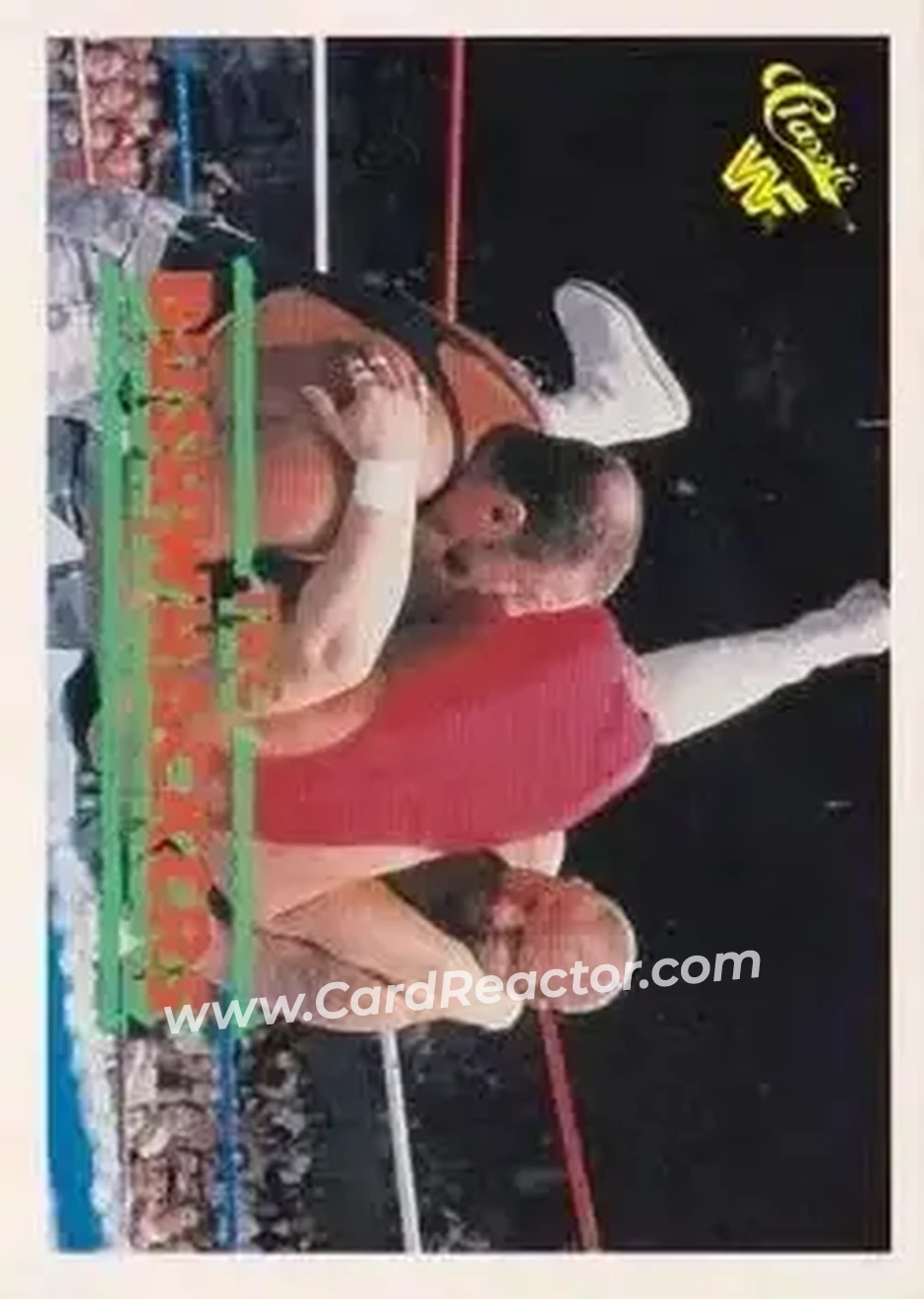 1990 Classic WWF #47 - The Bushwhackers (Butch & Luke)