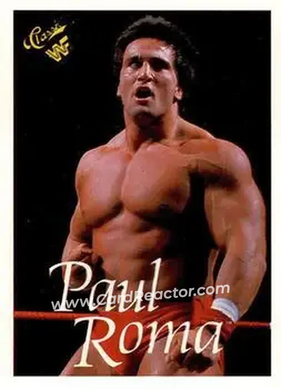 1990 Classic WWF #48 - Paul Roma