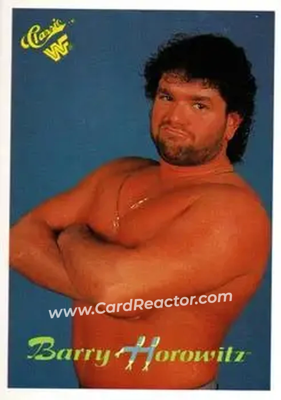 1990 Classic WWF #49 - Barry Horowitz 1990 Classic WWF #49 - Barry Horowitz