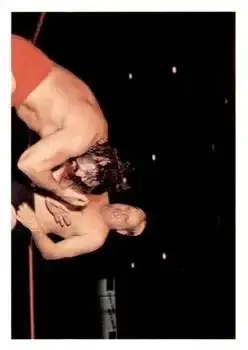 1988 Wonderama NWA #141 - Card #141 - Front 1988 Wonderama NWA #141 - Card #141 - Front