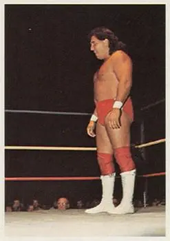 1988 Wonderama NWA #145 - Italian Stallion