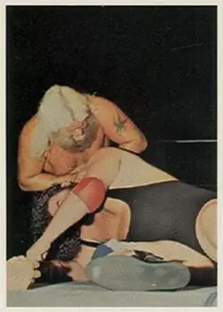 1988 Wonderama NWA #146 - Jimmy Valiant 1988 Wonderama NWA #146 - Jimmy Valiant