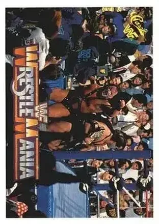 1990 Classic WWF The History of Wrestlemania #46 - Demolition 1990 Classic WWF The History of Wrestlemania #46 - Demolition