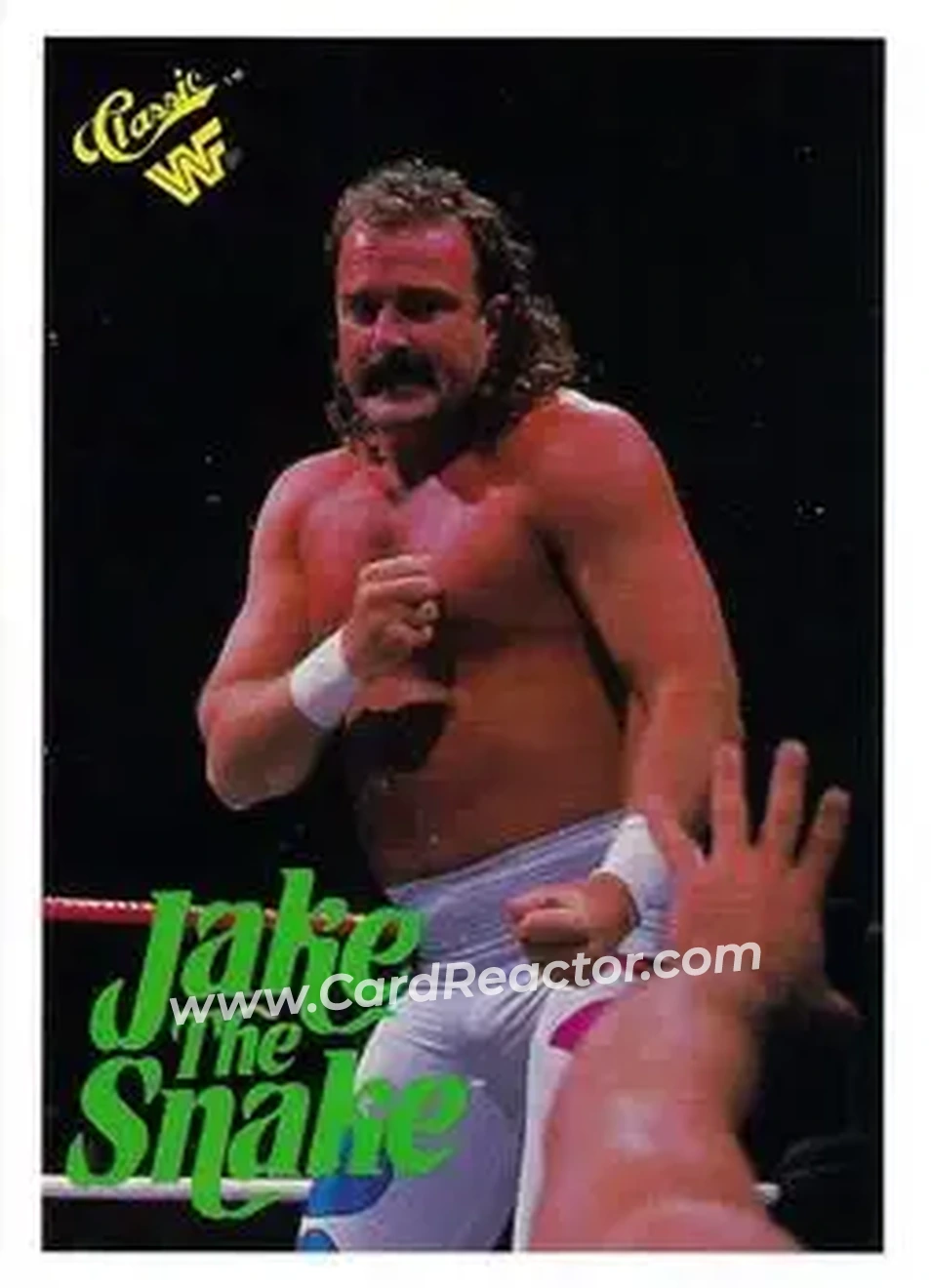 1990 Classic WWF #63 - Jake "The Snake" Roberts