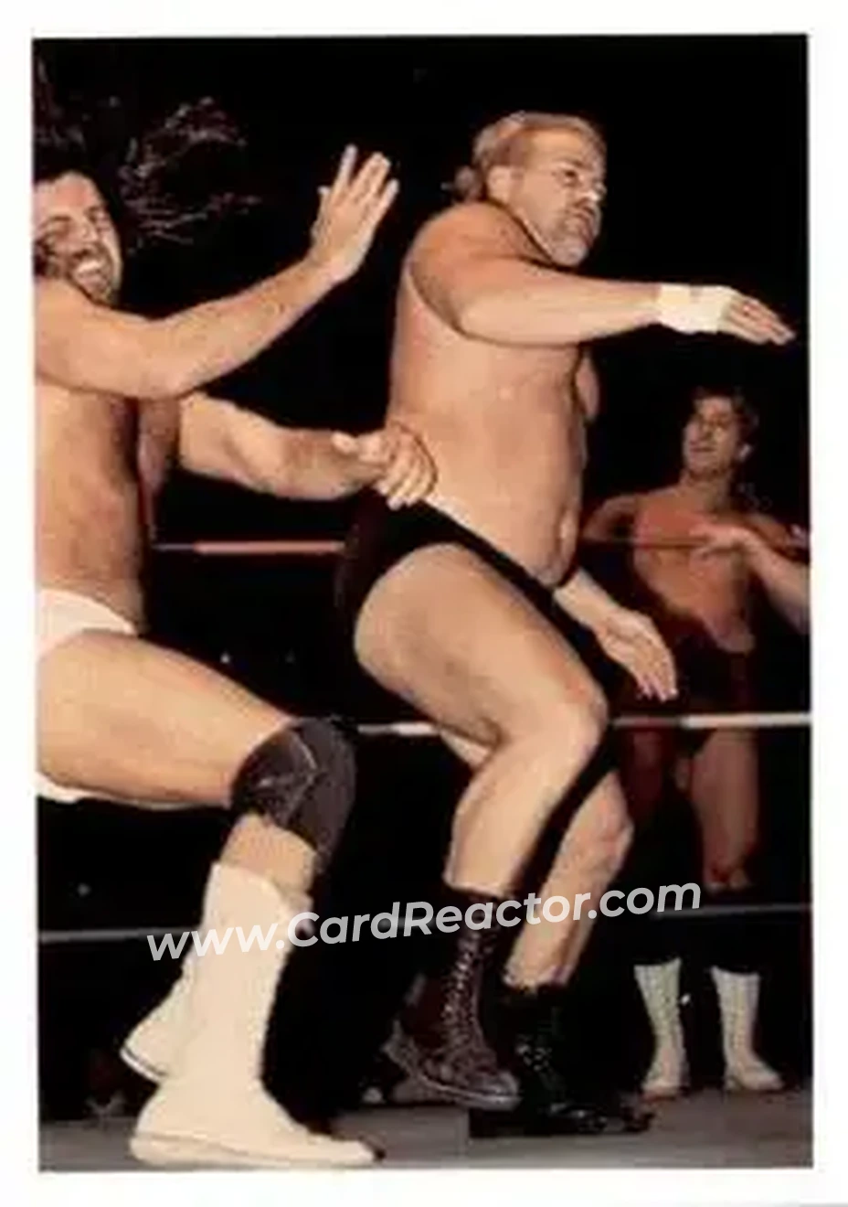 1988 Wonderama NWA #147 - Card #147