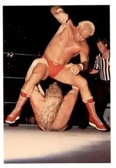 1988 Wonderama NWA #148 - Rugged Ronnie Garvin