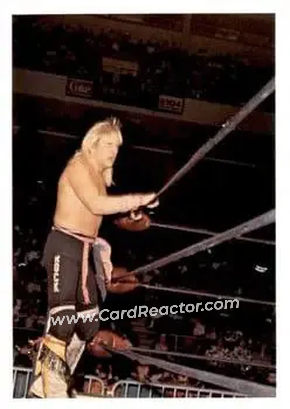 1988 Wonderama NWA #149 - Ricky Morton