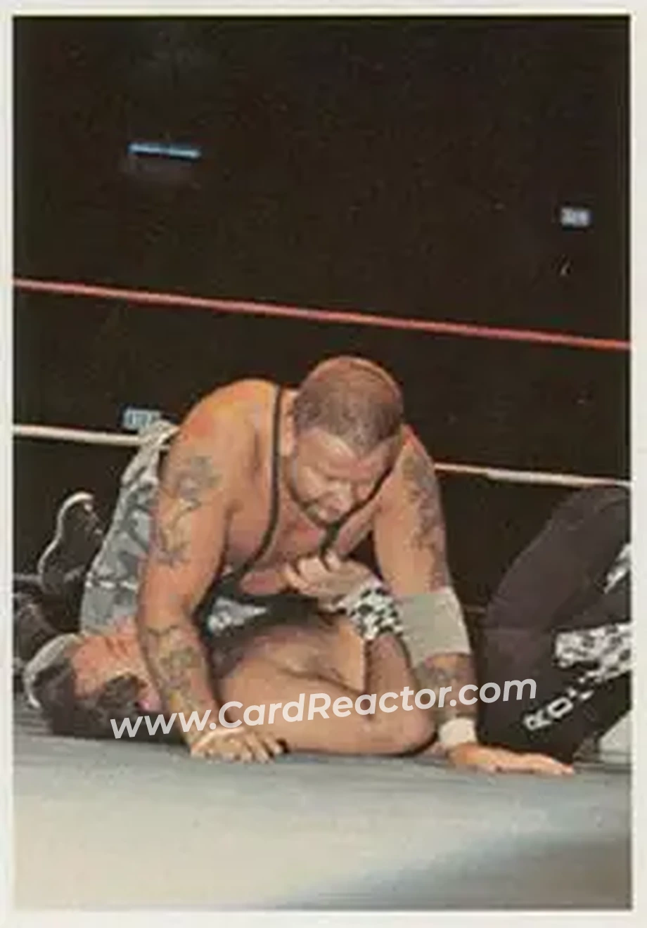 1988 Wonderama NWA #150 - Luke Williams