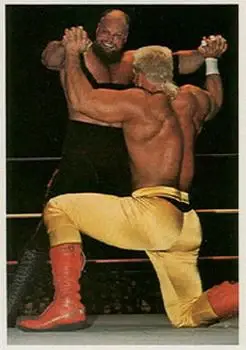 1988 Wonderama NWA #153 - Card #153