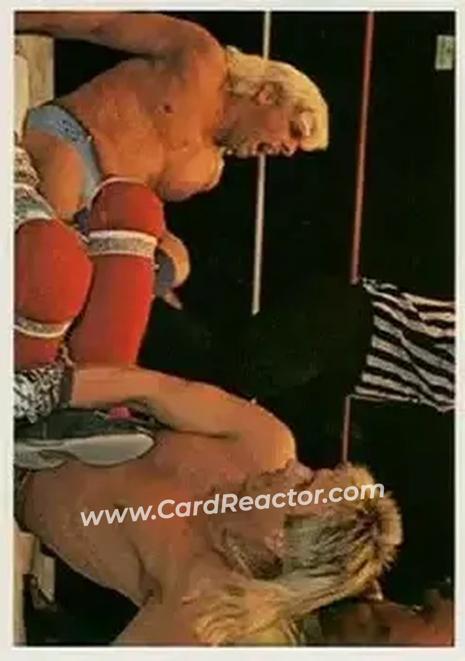 1988 Wonderama NWA #154 - Card #154
