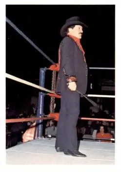 1988 Wonderama NWA #161 - Paul Jones