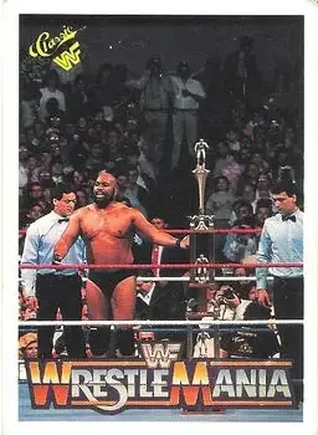 1990 Classic WWF The History of Wrestlemania #73 - Bad News Brown