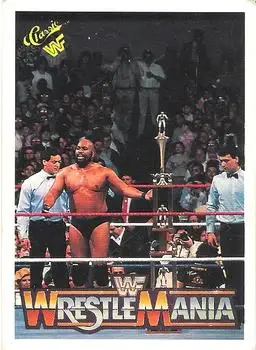 1990 Classic WWF The History of Wrestlemania #73 - Bad News Brown