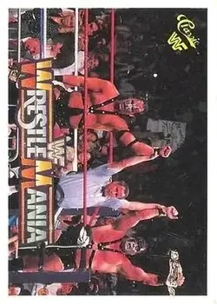 1990 Classic WWF The History of Wrestlemania #77 - Demolition