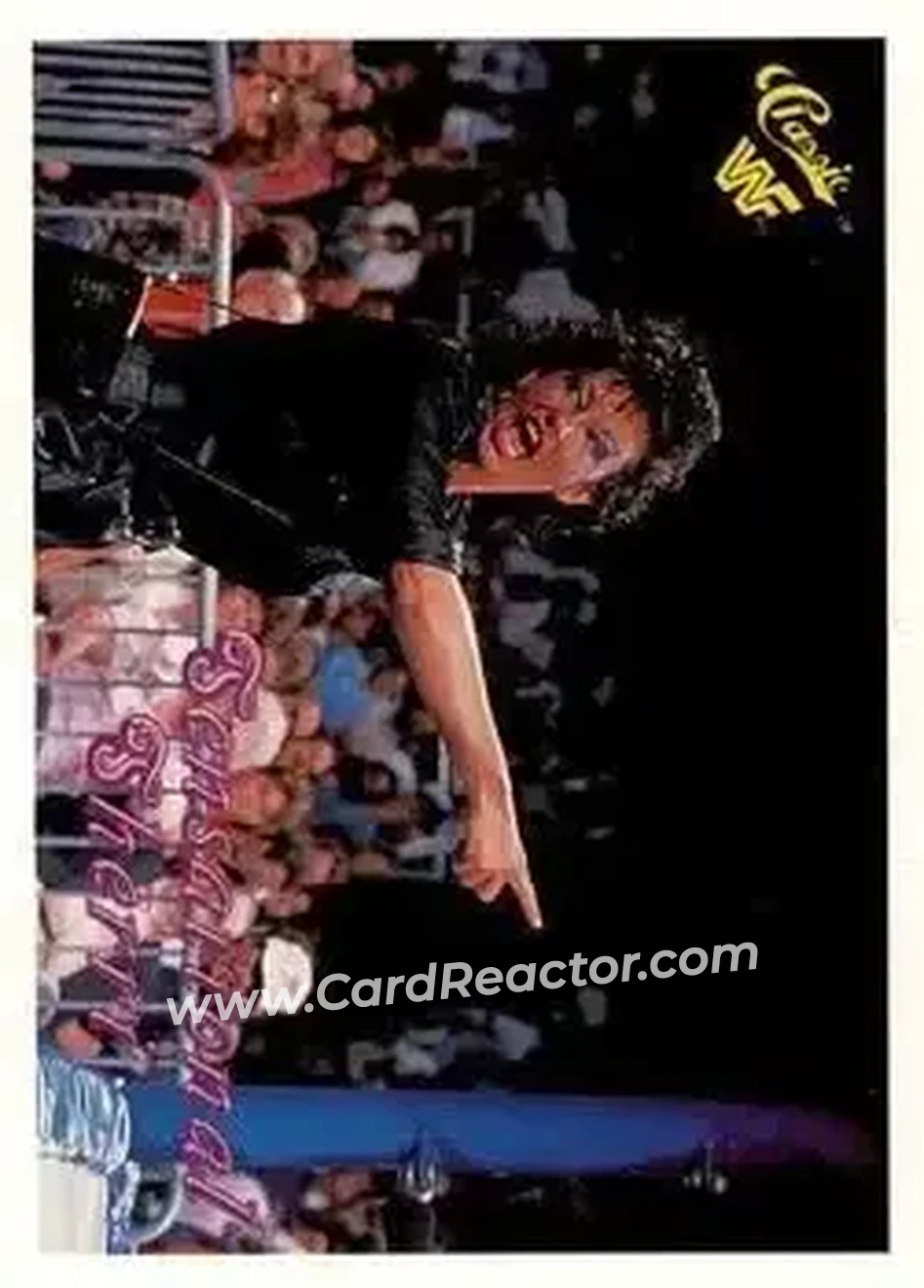 1990 Classic WWF #73 - Sensational Queen Sherri