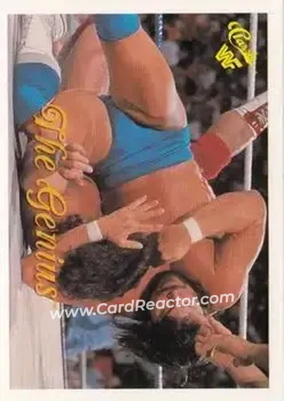 1990 Classic WWF #85 - The Genius