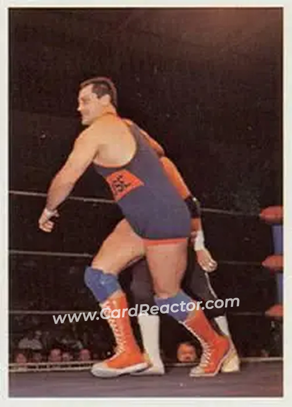1988 Wonderama NWA #167 - Mike Rotunda