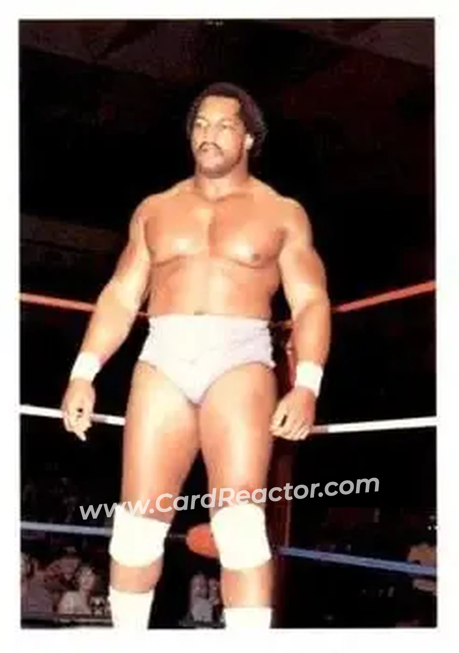 1988 Wonderama NWA #173 - Ron Simmons