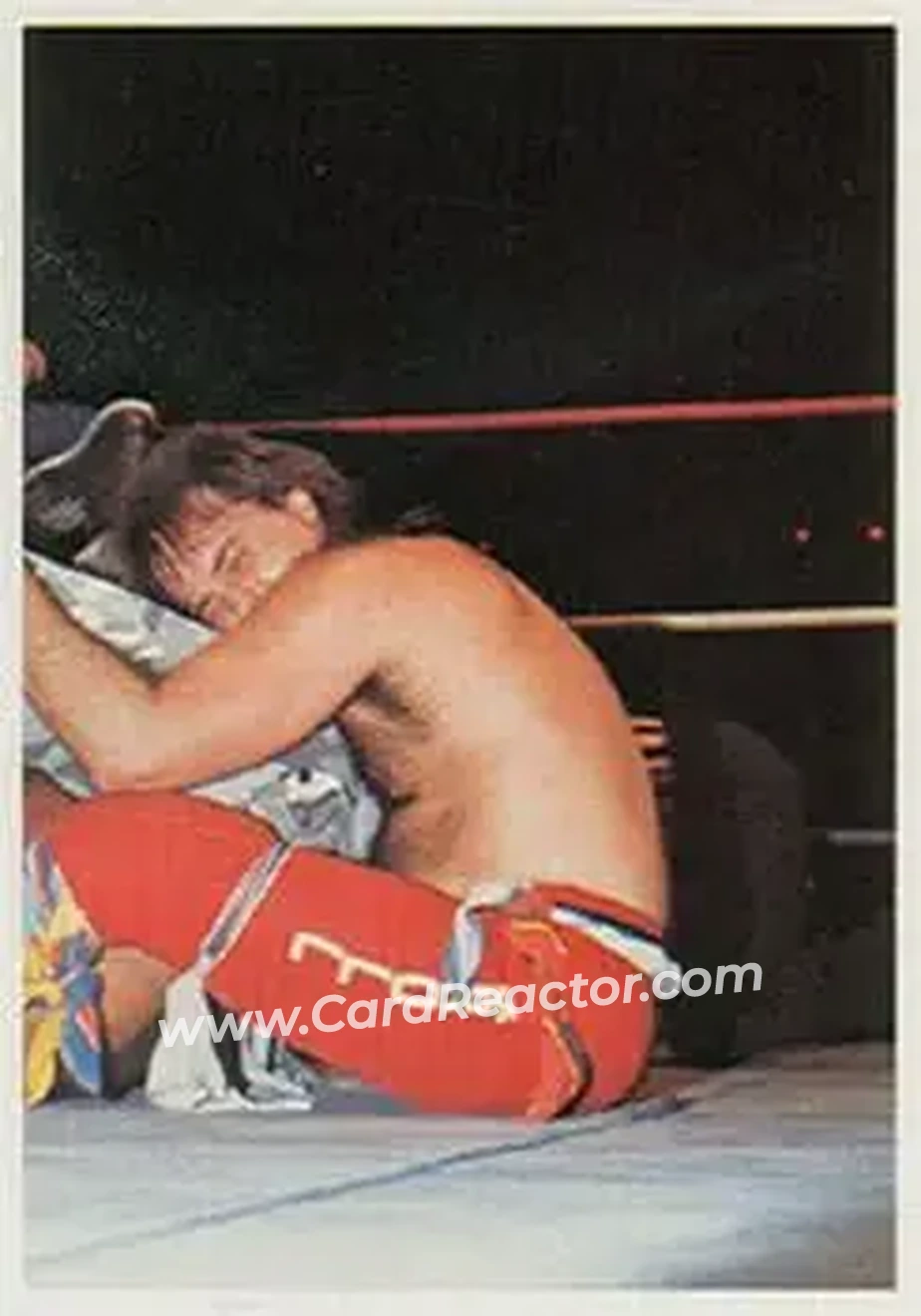 1988 Wonderama NWA #174 - Robert Gibson 1988 Wonderama NWA #174 - Robert Gibson