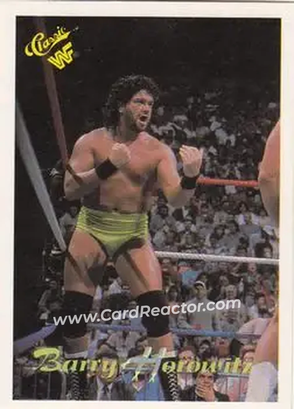 1990 Classic WWF #99 - Barry Horowitz 1990 Classic WWF #99 - Barry Horowitz