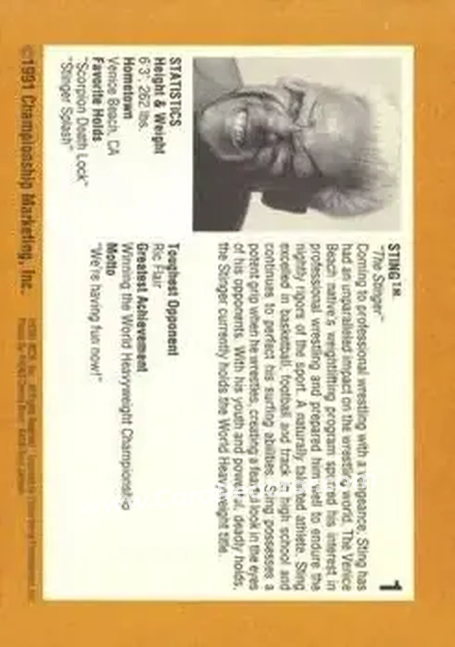 1991 Championship Marketing WCW #1 - Sting