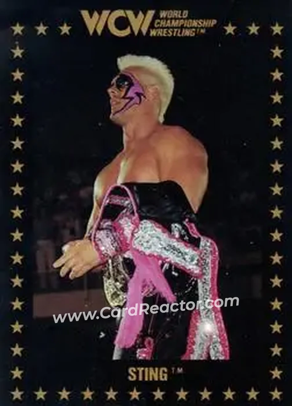 1991 Championship Marketing WCW #1 - Sting