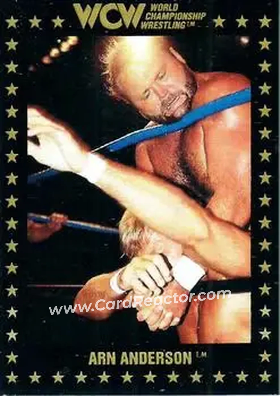 1991 Championship Marketing WCW #2 - Arn Anderson
