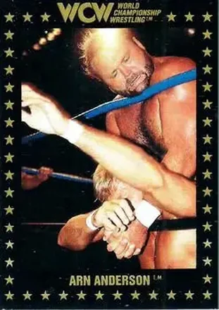 1991 Championship Marketing WCW #2 - Arn Anderson 1991 Championship Marketing WCW #2 - Arn Anderson