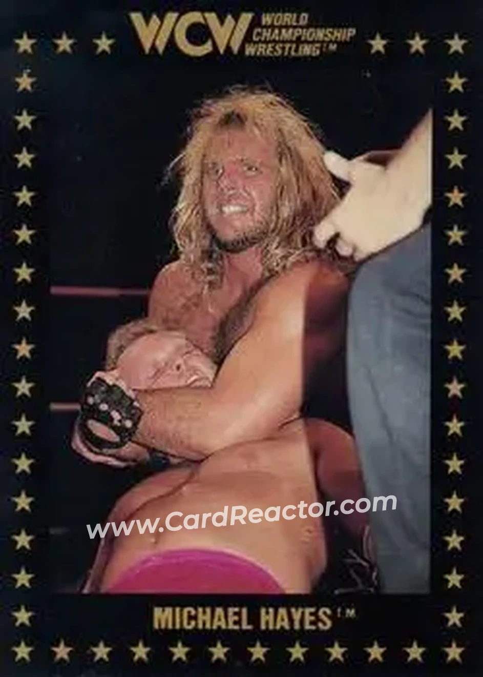 1991 Championship Marketing WCW #3 - Michael Hayes
