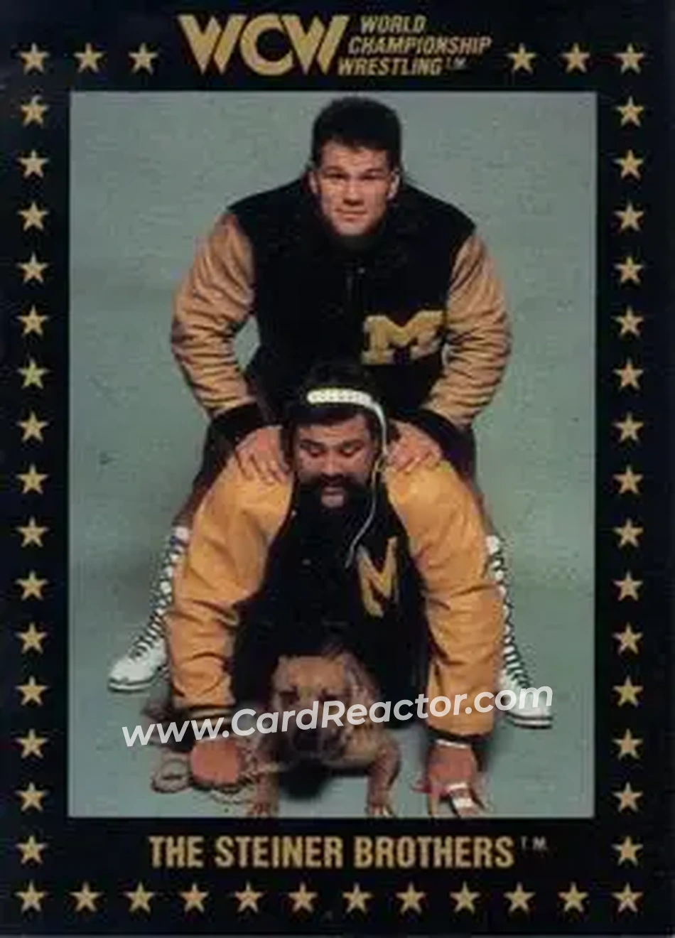 1991 Championship Marketing WCW #6 - The Steiner Brothers