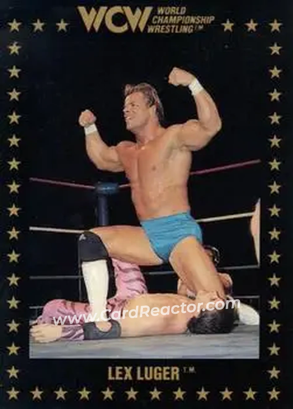 1991 Championship Marketing WCW #7 - Lex Luger