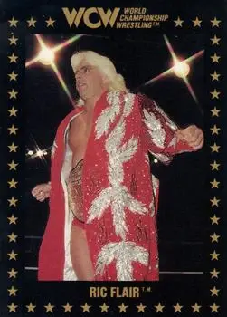 1991 Championship Marketing WCW #8 - Ric Flair - Front 1991 Championship Marketing WCW #8 - Ric Flair - Front