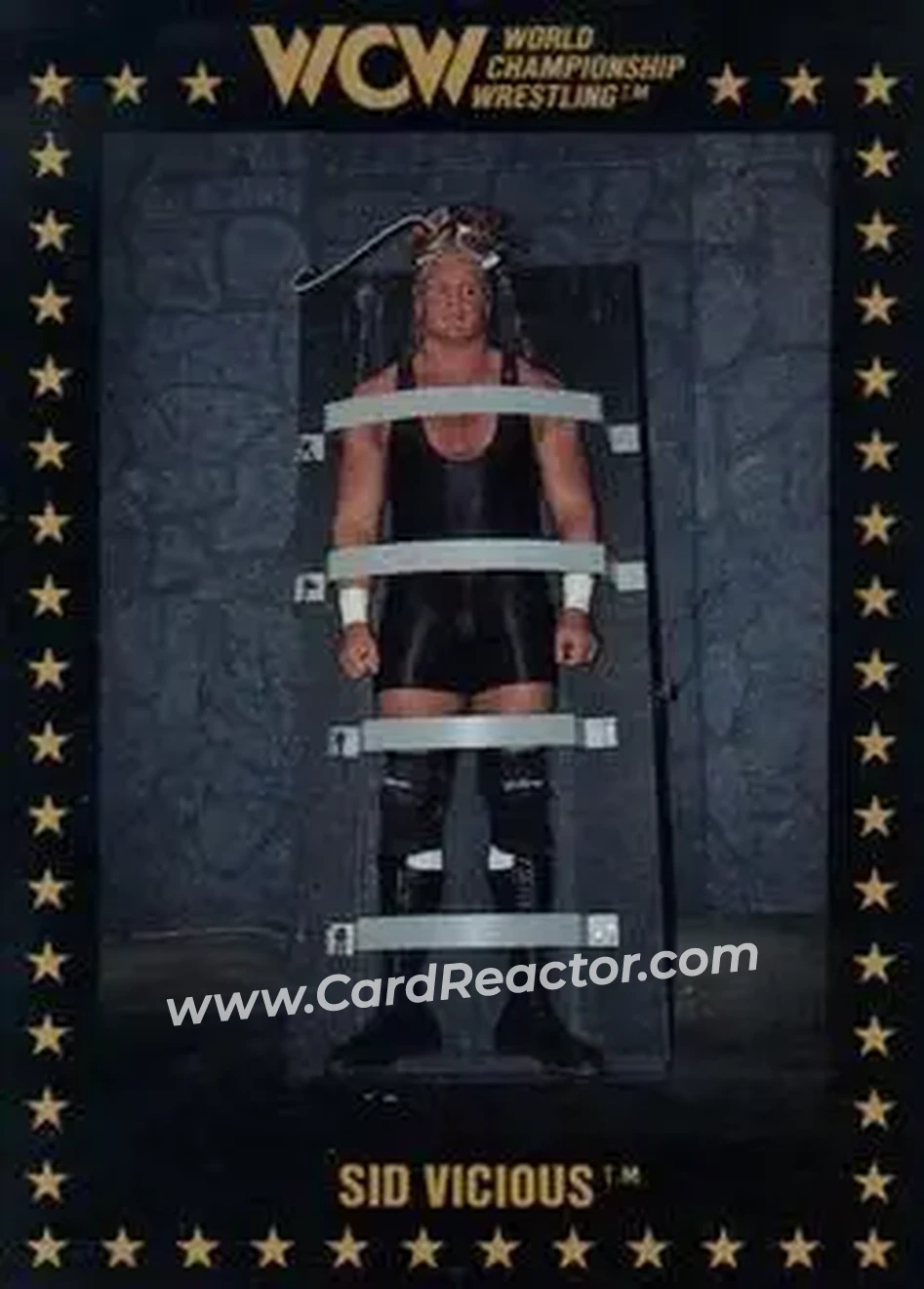 1991 Championship Marketing WCW #10 - Sid Vicious